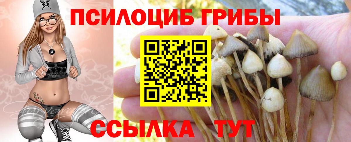 Гусь-Хрустальный  Галлюциногенные грибы Magic Shrooms  наркотики  Вход с VPN 