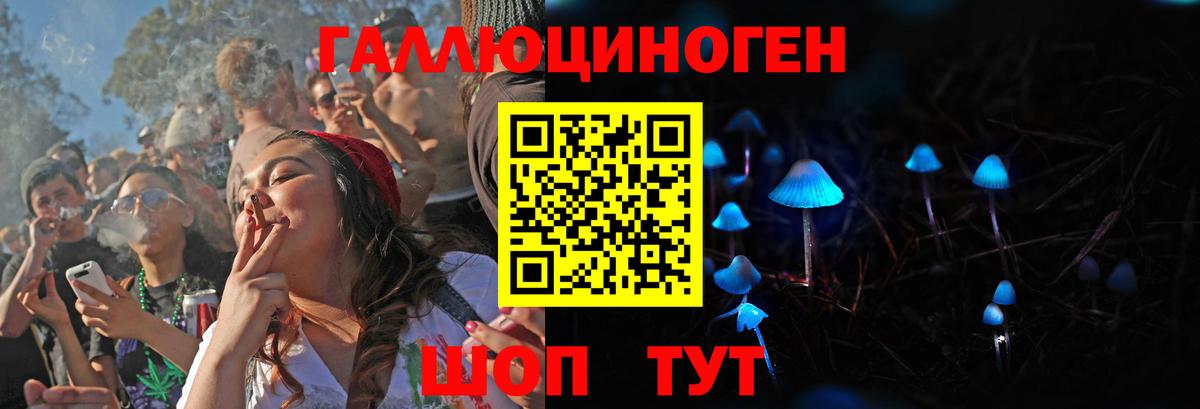 Галлюциногенные грибы мицелий Гусь-Хрустальный